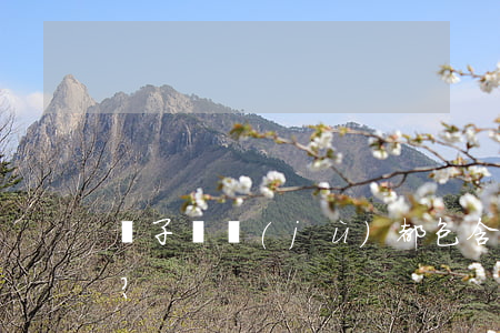 電子證據(jù)都包含哪些類別？